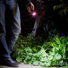 Additional picture of Mega Beam 180 Lumen LED Torch