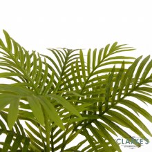 Additional picture of Mini Palm Tree 45cm