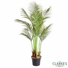 Additional picture of Pheonix Palm - Faux Indoor Plant 124cm