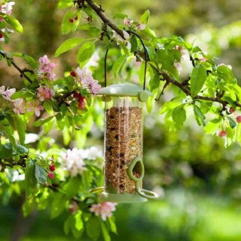 Twist Top Seed Feeder 30cm