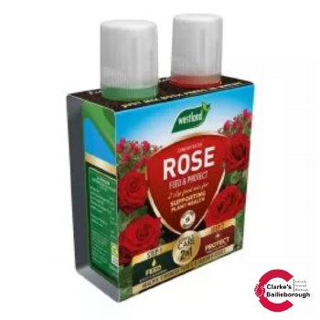 Westland 2 in 1 Rose Feed and Protection