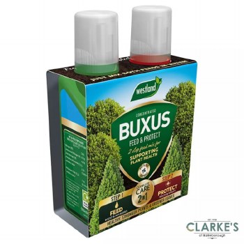 Westland Buxus 2 in 1 Feed and Protect