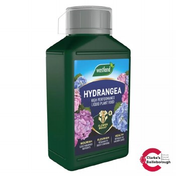 Westland Hydrangea Liquid Plant Food 1 Litre