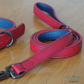 Luxe Leather Ruby Dog Lead 120cm