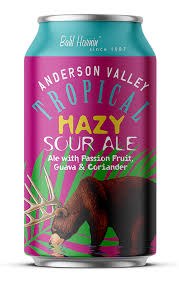 Anderson Hazy Sour Ale 6pk 12oz Cans