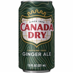 Canada Dry Gingerale Single Can