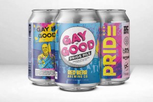 DC Brau Gay Is Good 4pkC