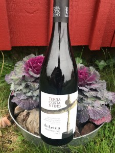 Terra Costa Ntino De Aetna Etna Rosso 750ml