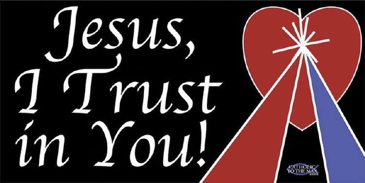 DIVINE MERCY HEART VINYL BUMPER STICKER