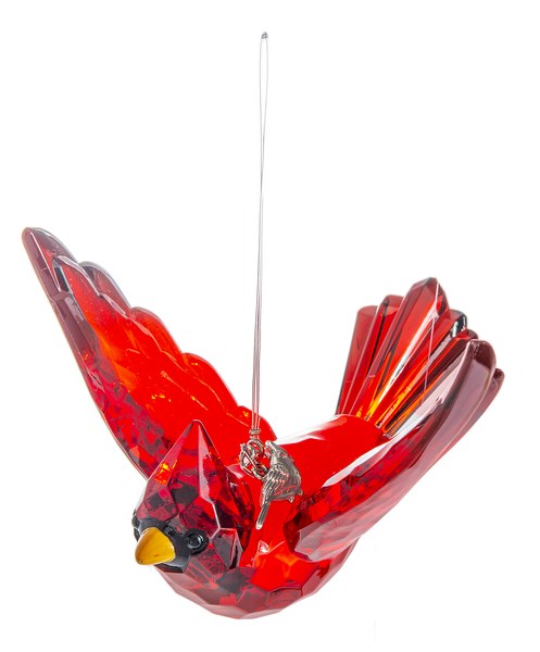 CARDINAL WITH CARDINAL CHARM