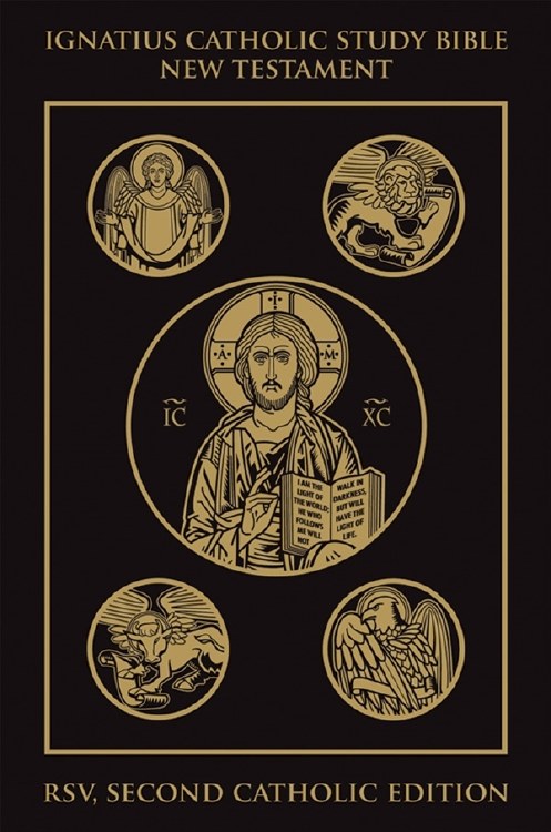 NEW TESTAMENT LEATHER COVER CATHOLIC STUDY BIBLE