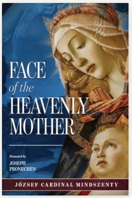 FACE OF THE HEAELY MOTHER