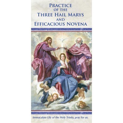 PRACTICE OF THE THREE HAIL MARYS AND EFFICACIOUS NOVENA - Divine Mercy ...