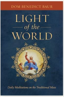 LIGHT OF THE WORLD