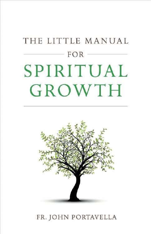 THE LITTLE MANUAL FOR SPIRITUAL GROWTH