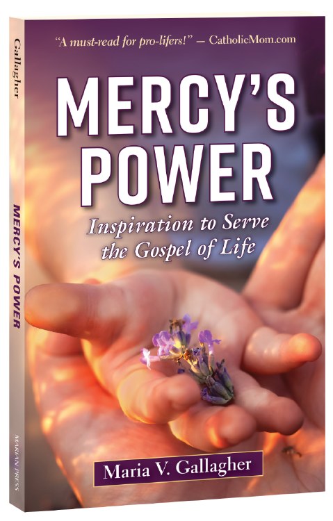 MERCY'S POWER: INSPIRATION TO SERVE THE GOSPEL OF LIFE