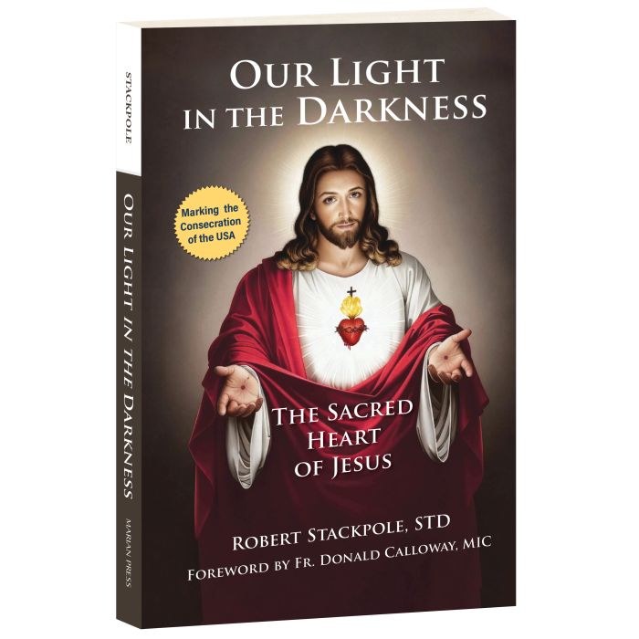 OUR LIGHT IN THE DARKNESS