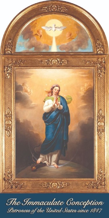 PRAYER TO THE IMMACULATE CONCEPTION