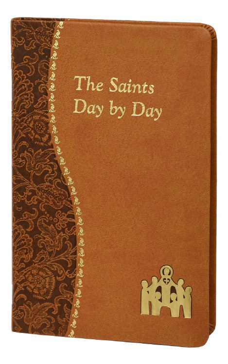 THE SAINTS DAY BY DAY