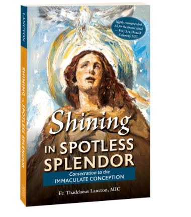 SHINING IN SPOTLESS SPLENDOR: CONSECRATION TO THE IMMACULATE CONCEPTION