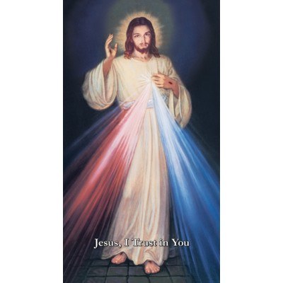 SPANISH HYLA DIVINE MERCY CANVAS GALLERY WRAPPED PRINT