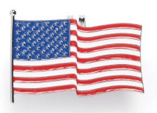 AMERICAN FLAG VISOR CLIP