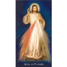 SPANISH CHAPLET OF DIVINE MERCY PAPER PRAYERCARD