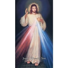 HYLA DIVINE MERCY CANVAS GALLERY-WRAPPED PRINT