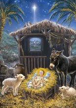 JESUS IN THE MANGER BOXED CHRISTMAS CARDS