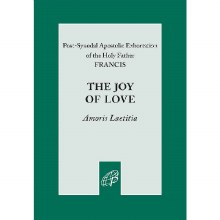 JOY OF LOVE AMORIS LAETICIA