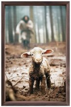 LOST LAMB FRAMED ART