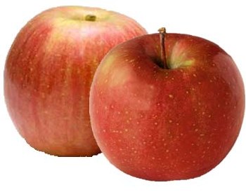 Apples Fuji -- Per Lb