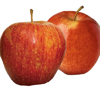 Apples Gala -- Per Lb