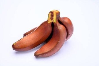 Bananas Red -- Per Lb