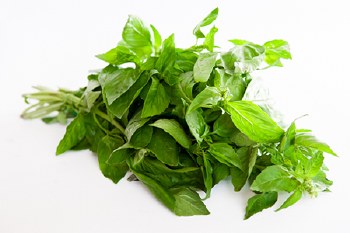 Lemon Basil -- Bunch