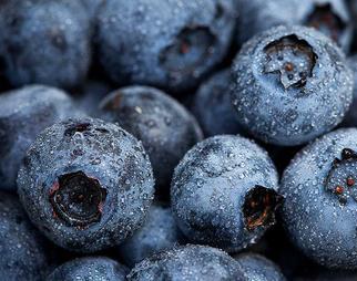 Blueberries -- Package 8 oz