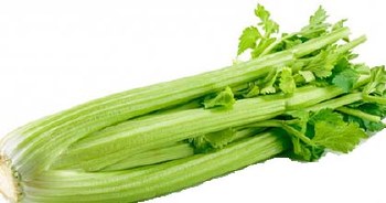 Celery -- Bunch