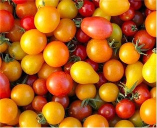Cherry Tomatoes Medley -- Package