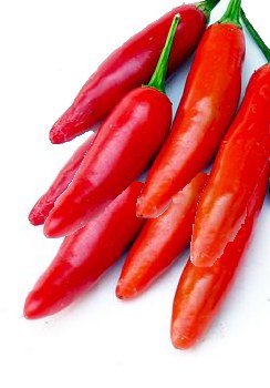 Chile Serrano -- Per Lb