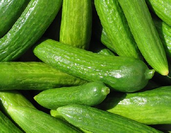 Cucumbers Persian -- Per Lb Per LB