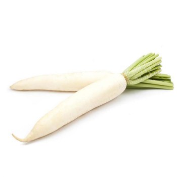 Daikon -- Per Lb