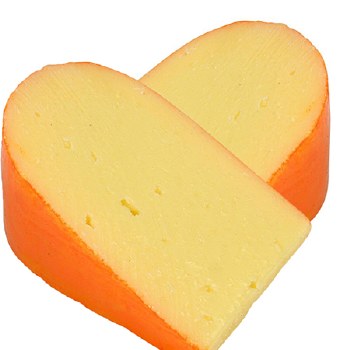Gouda