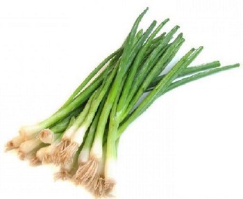 Green Onions -- Bunch