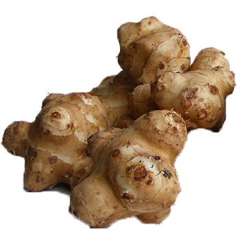 Jerusalem Potato Sunchokes PER  LB