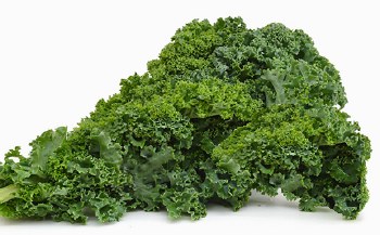 Kale -- Bunch