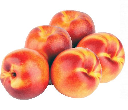 Nectarines Yellow -- Per Lb - SAMI'S FAIRFAX GROCERY