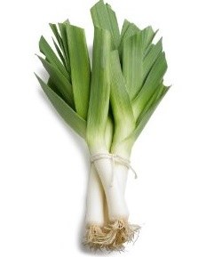 Leek -- Bunch