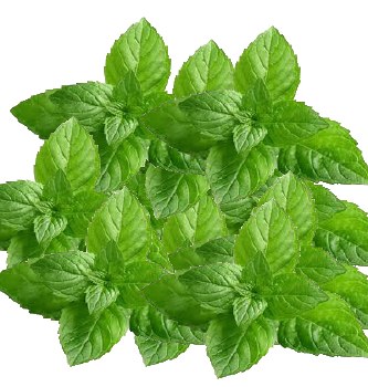 Mint - Naana -- Bunch