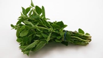 Oregano -- Package .75 oz