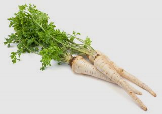 Parsley Root Bunch Sami S Fairfax Grocery